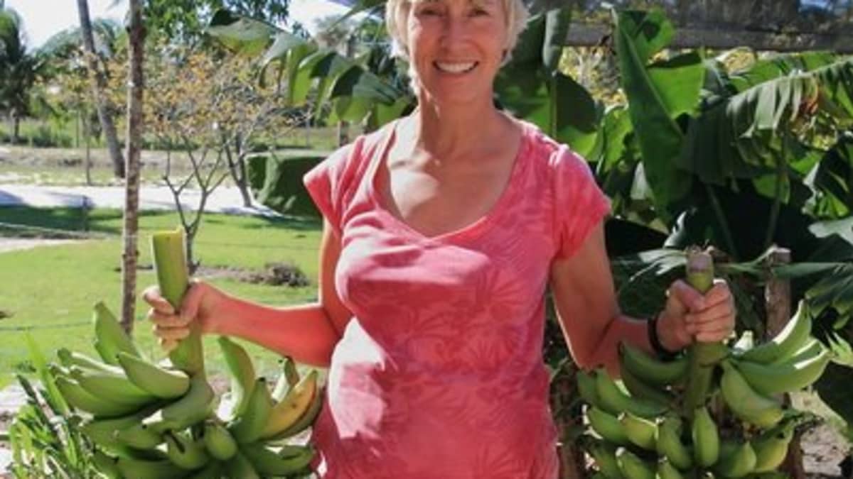 When to Harvest Bananas - Dengarden