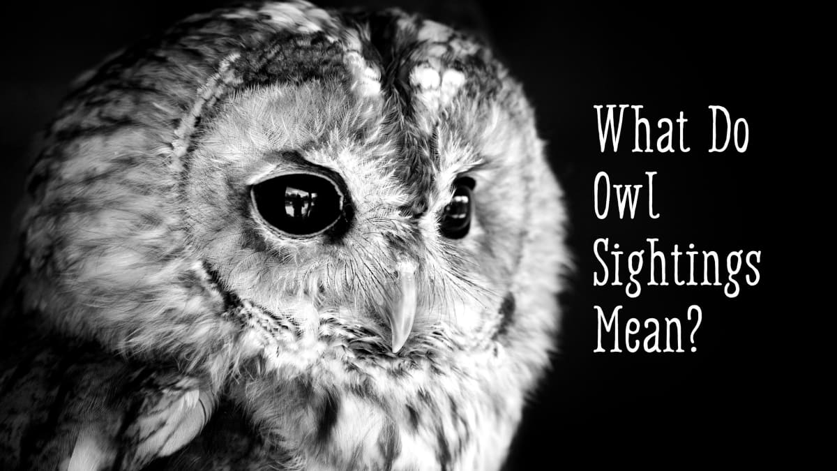 native american owl symbol meaning