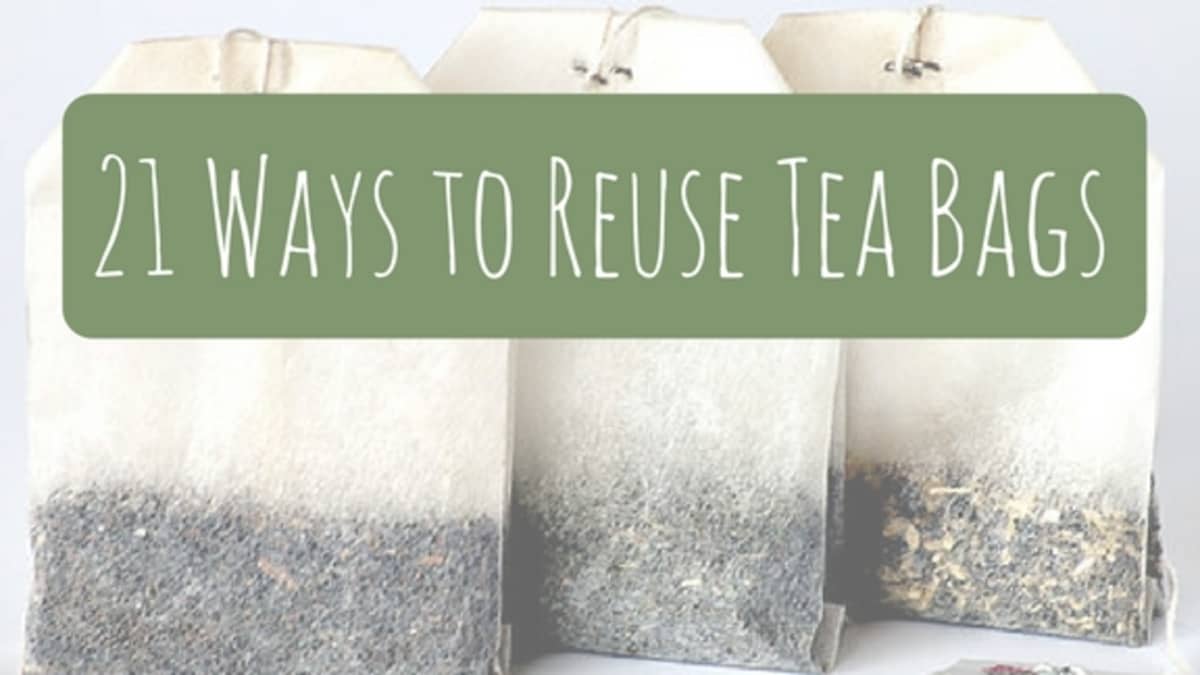 Matcha Green Tea Traditional Tea Bags – ITO EN