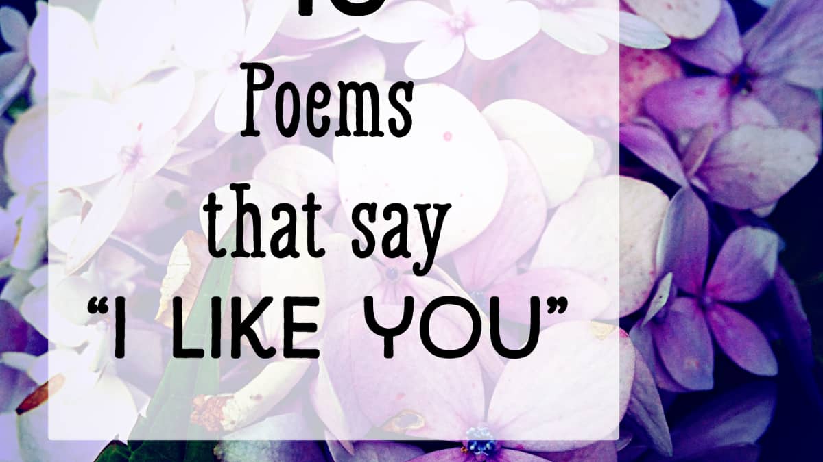 You mean everything to me poems for her