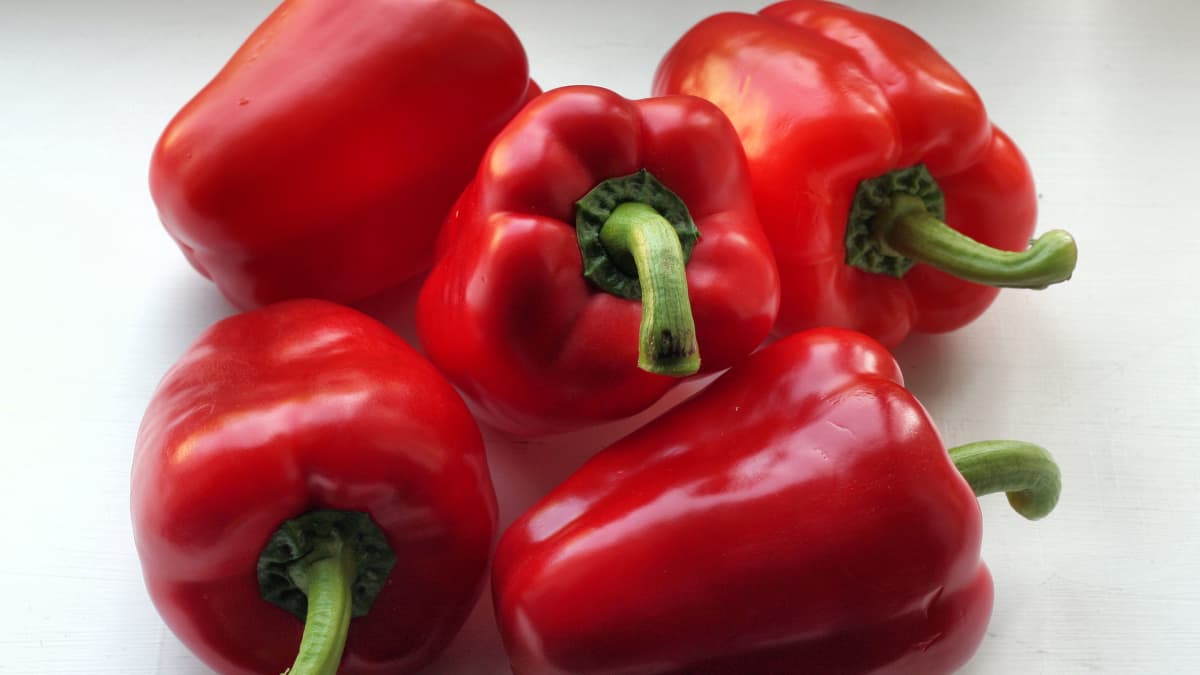 Bell Peppers: Do the Different Colors Taste Any Different? - Delishably