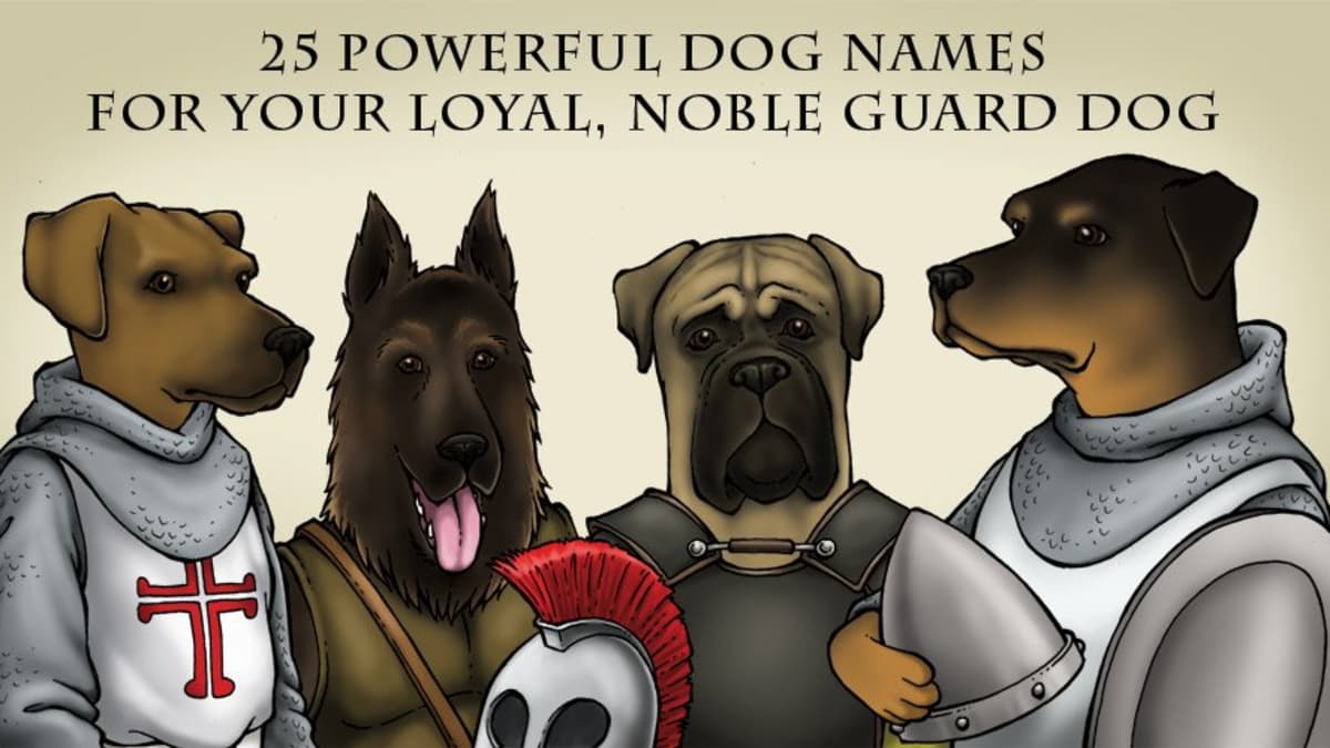 40 Powerful Dog Names For Your Loyal Noble Guard Dog Pethelpful