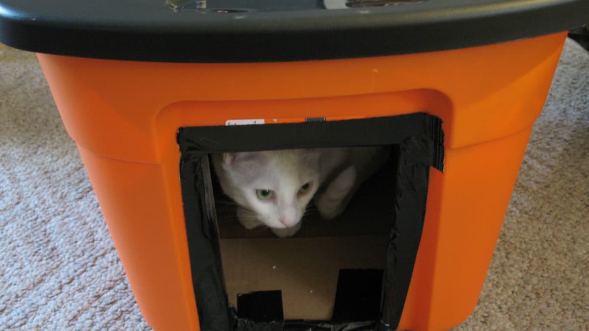 DIY Winter House for Stray Cats - PetHelpful