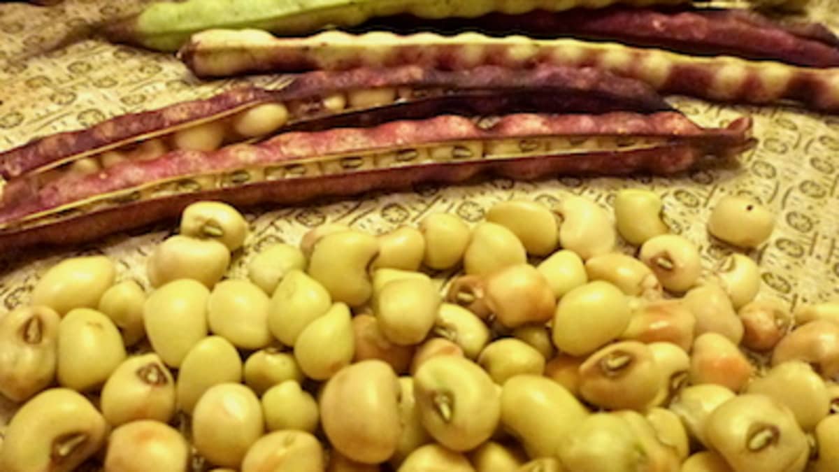 Why Black-Eyed Peas Mean Good Luck - HubPages