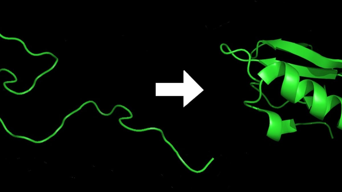 Misfolded Proteins In Alzheimer S And Parkinson S Diseases Owlcation