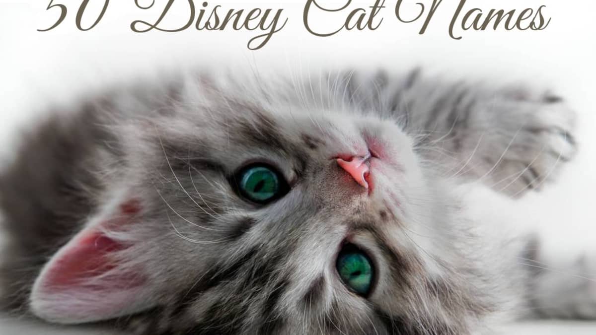 Disney Parks Cats of Disney Socks Cheshire Cat Simba Aristocats Unisex 