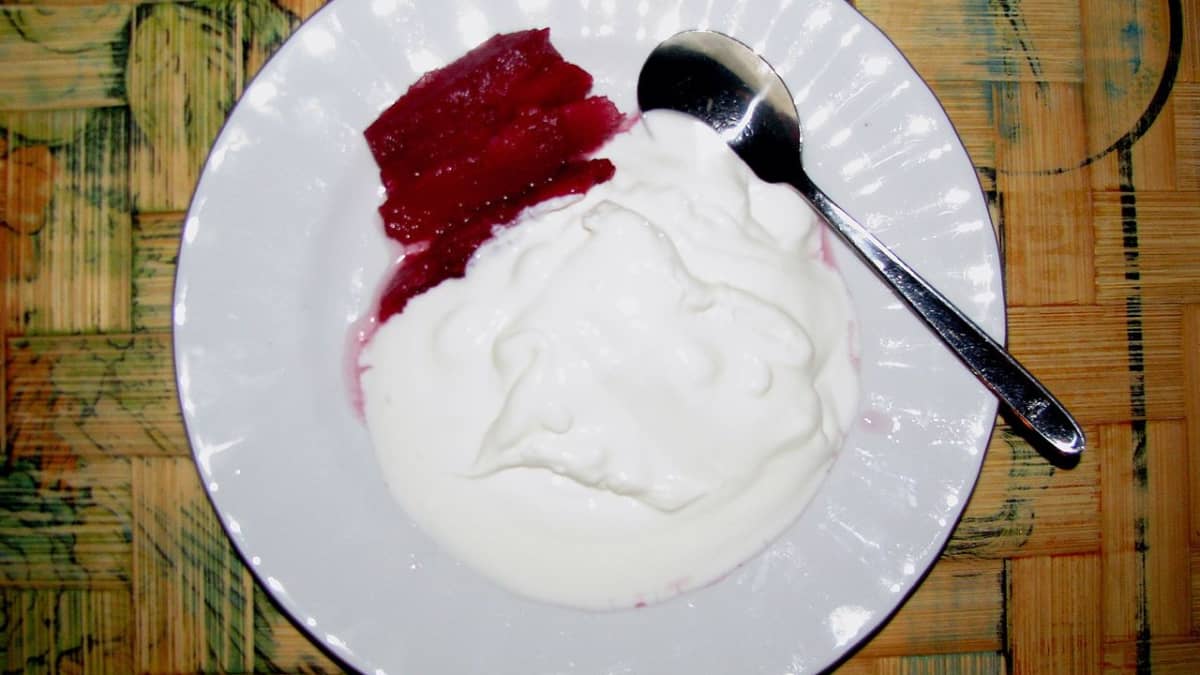 How to Make Yogurt at Home - Delishably