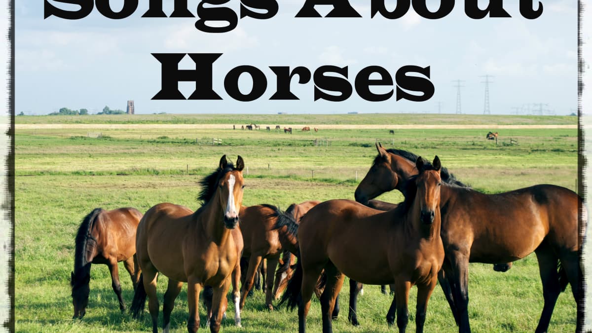 39 Songs About Horses Spinditty