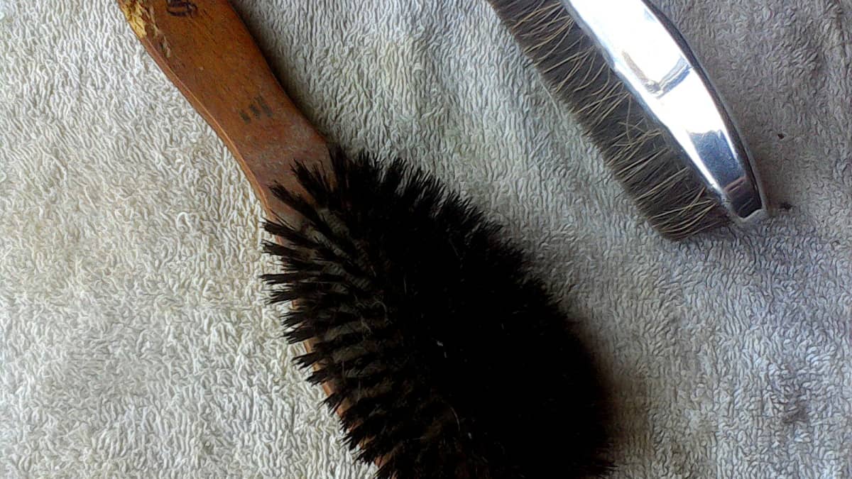 Horse Hair Brush For Human Hair : 10 Best Horse Hair Brush For Human Hair Reviews 2020 Lovewell Blog