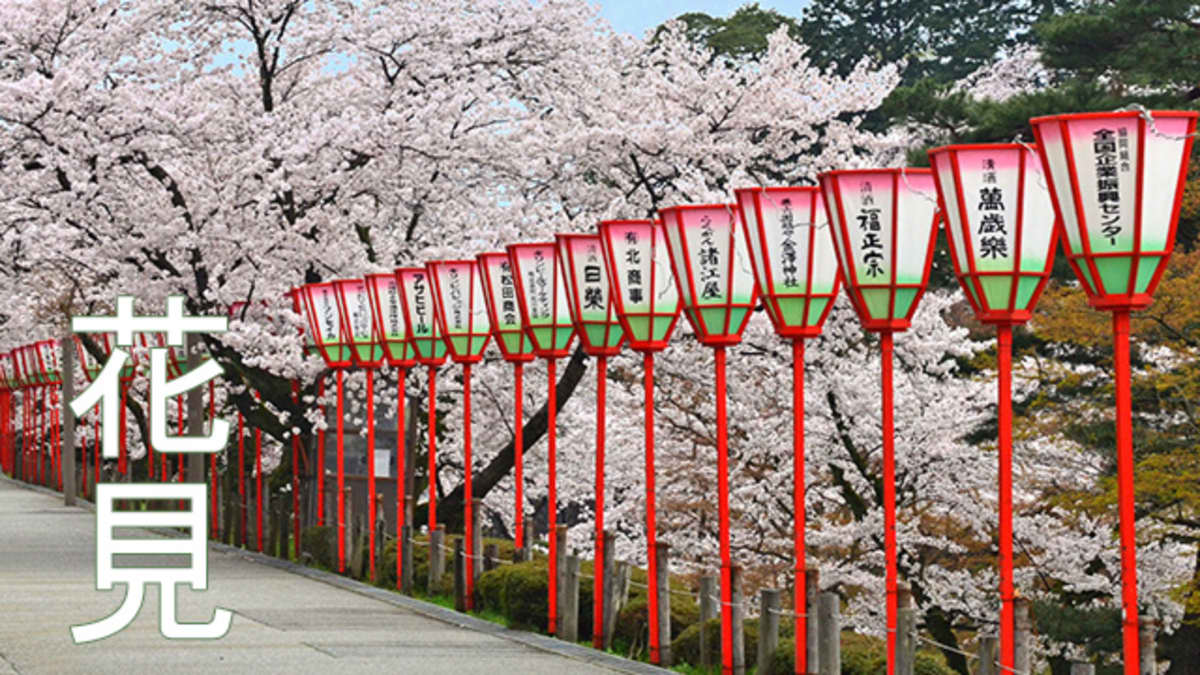 Everything You Need to Know to Enjoy the Cherry Blossom Season in Japan 