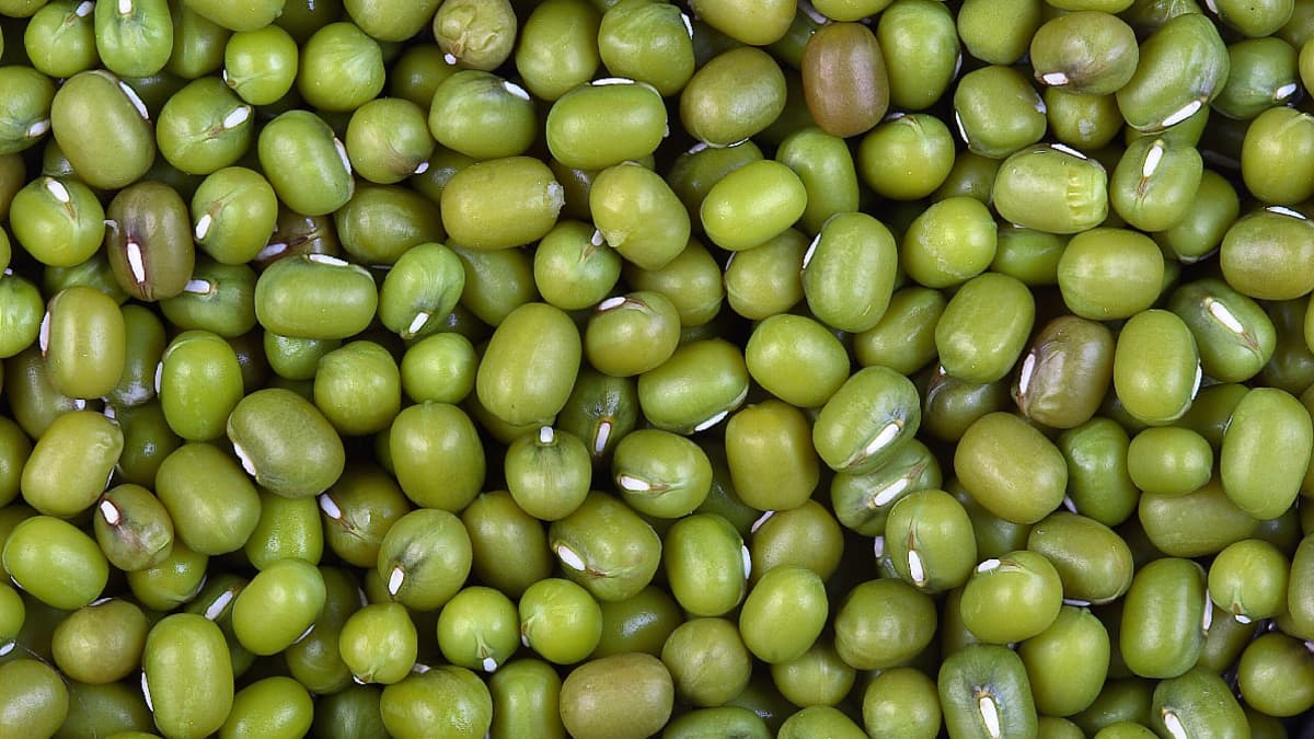 Green Mung beans or holay, one of the - Diabetes Tele Care