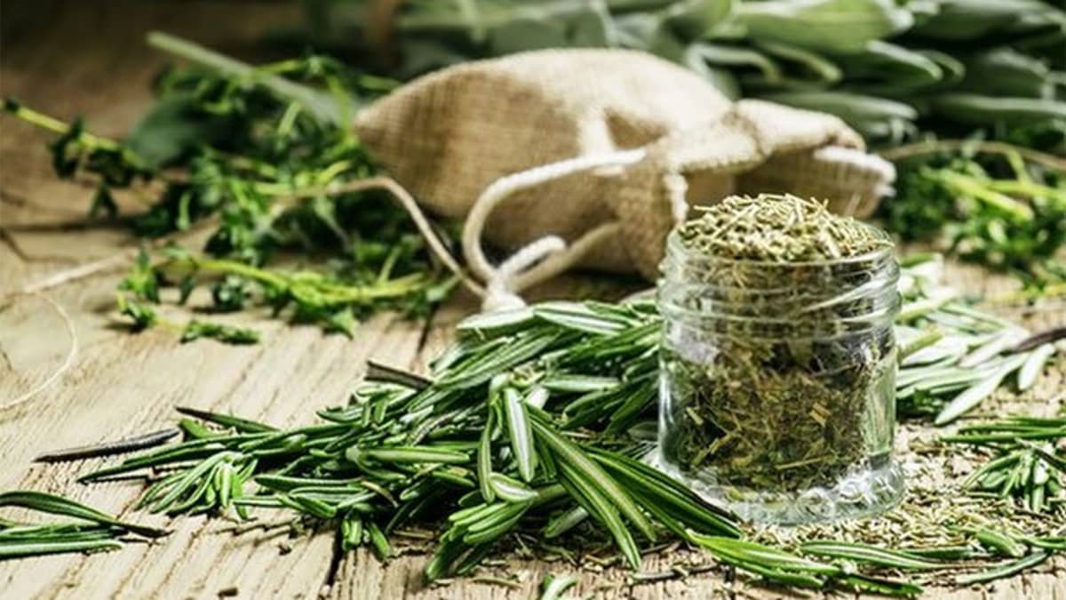 How to Substitute Dried Herbs for Fresh (and Vice Versa)