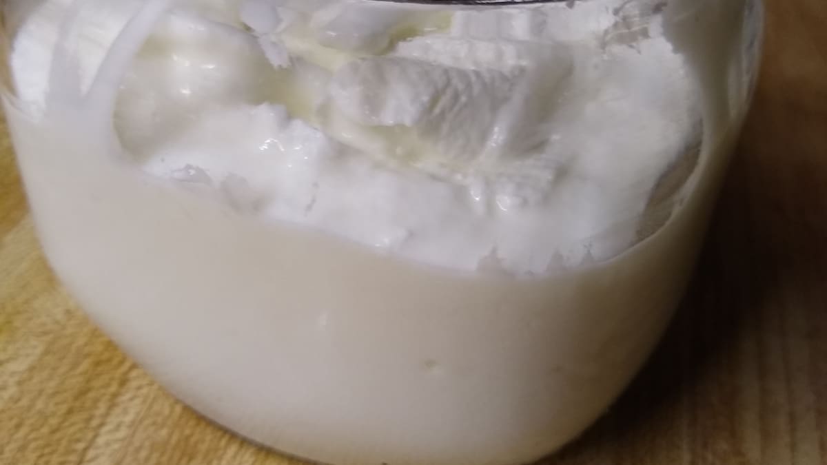 DIY Yoghurt instructional series) ~ Thermos® Milk Powder Method -  Nutritional Humility™