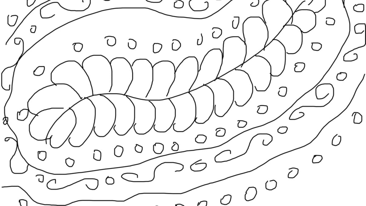 cocoon coloring pages