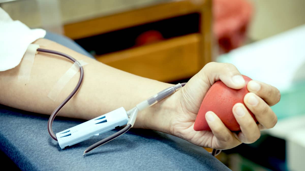 Does Having a Blood Transfusion Change Your DNA? - Owlcation