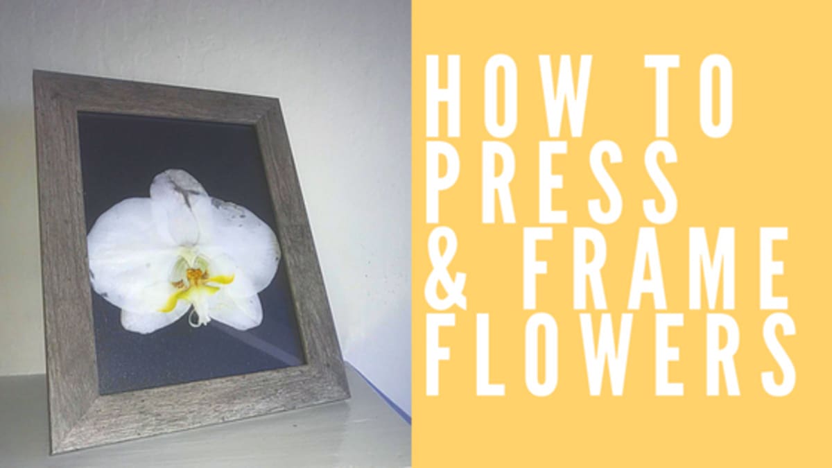 The Basic Art of Flower Pressing - FeltMagnet