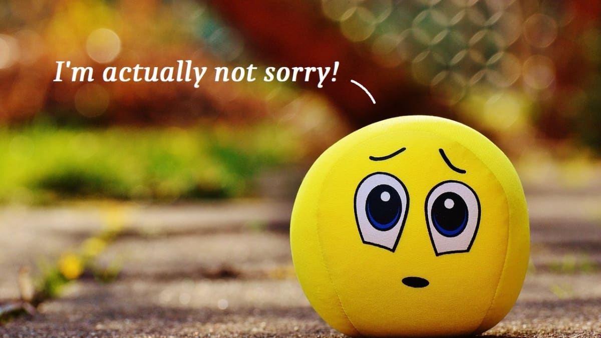 Quotes sarcastic apology 50+ Best
