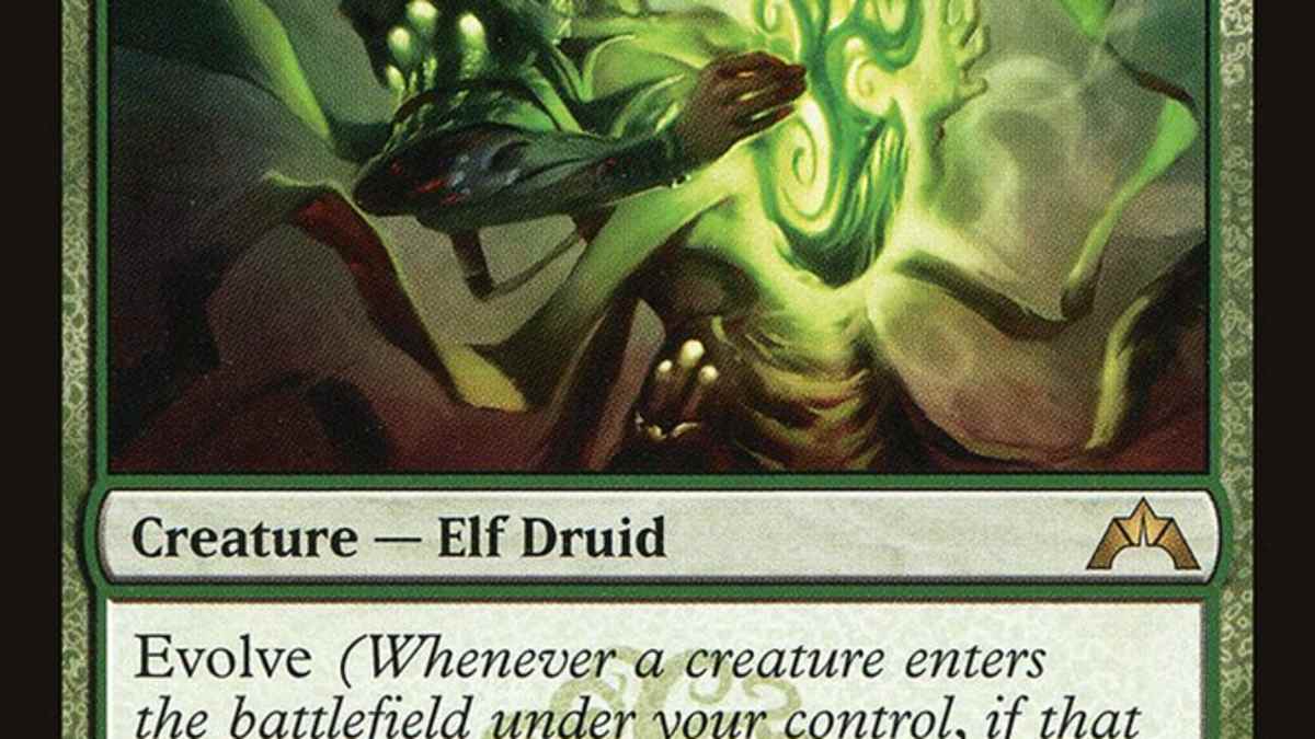 Carta Magic Elvish Archdruid [m12] Mtg Elf Druid | Cuotas Sin Interés
