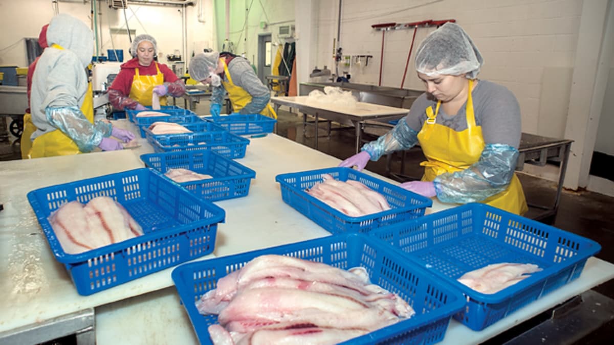 Alaska Seafood Processing Employment