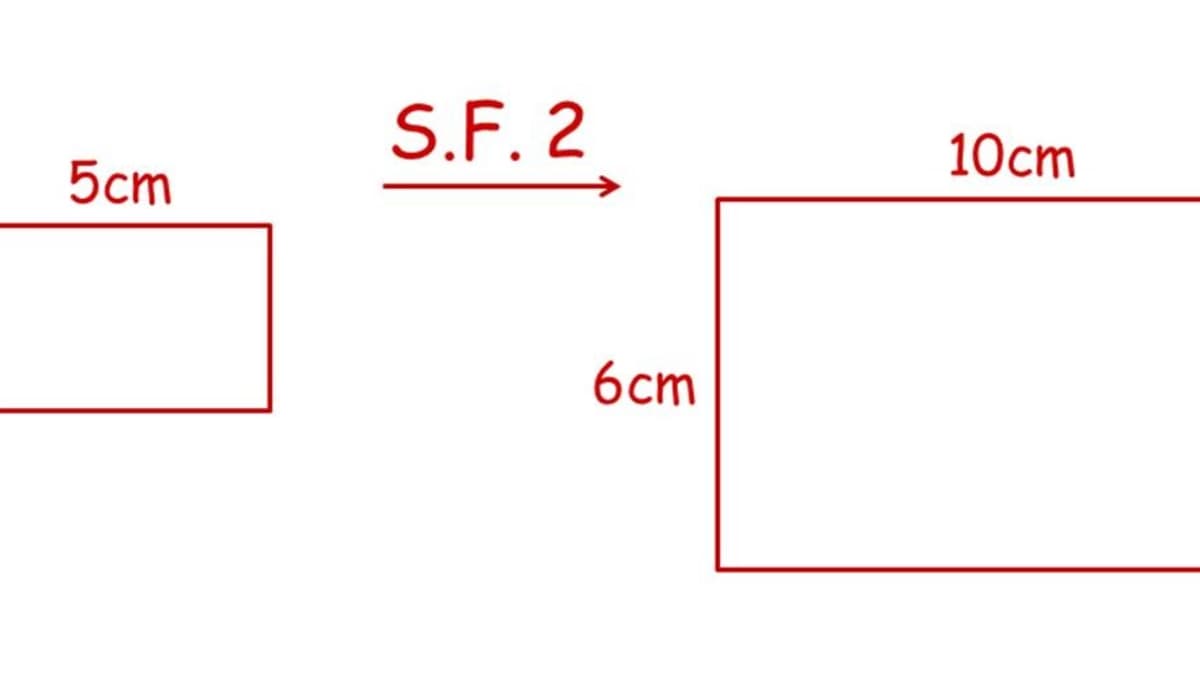 How Do Scale Factors Work for Area and Volume? - Owlcation