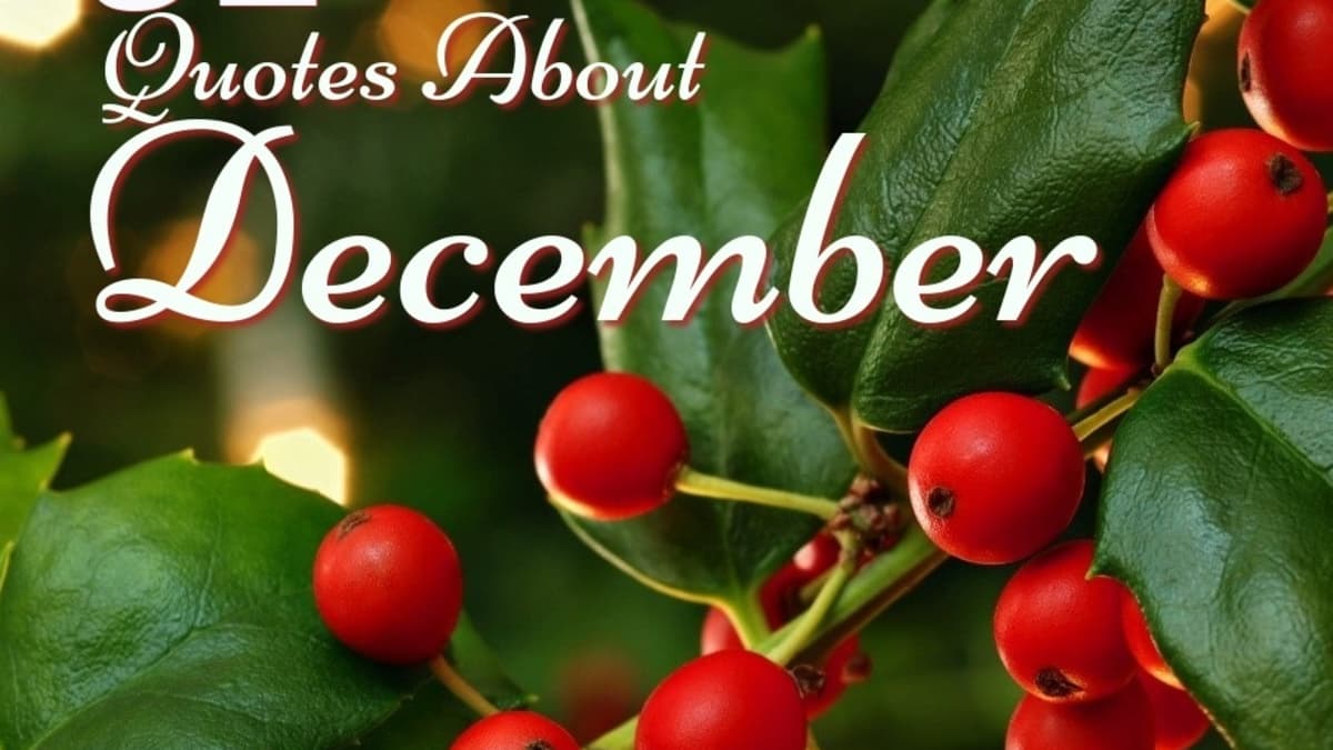 31 Quotes About December: The Month of Joy and Celebration - Holidappy