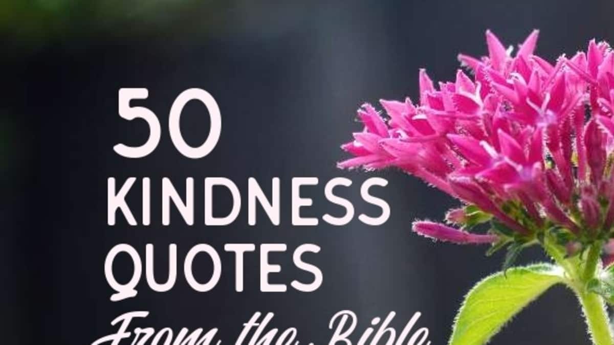 Bible Quotes About Kindness 50 Kindness Quotes From The Holy Bible - Letterpile