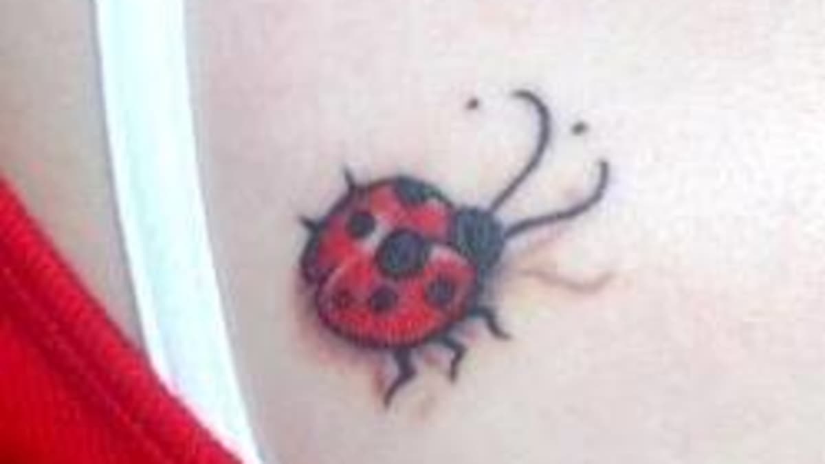 25 Lucky Ladybug Tattoo Ideas  TattooGlee  Lady bug tattoo Bug tattoo Ladybird  tattoo