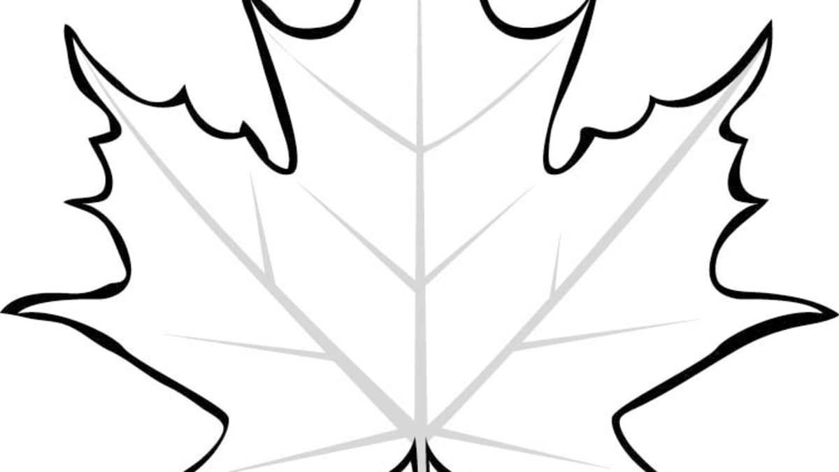 Easy How to Draw a Maple Leaf Tutorial and Leaf Coloring Page
