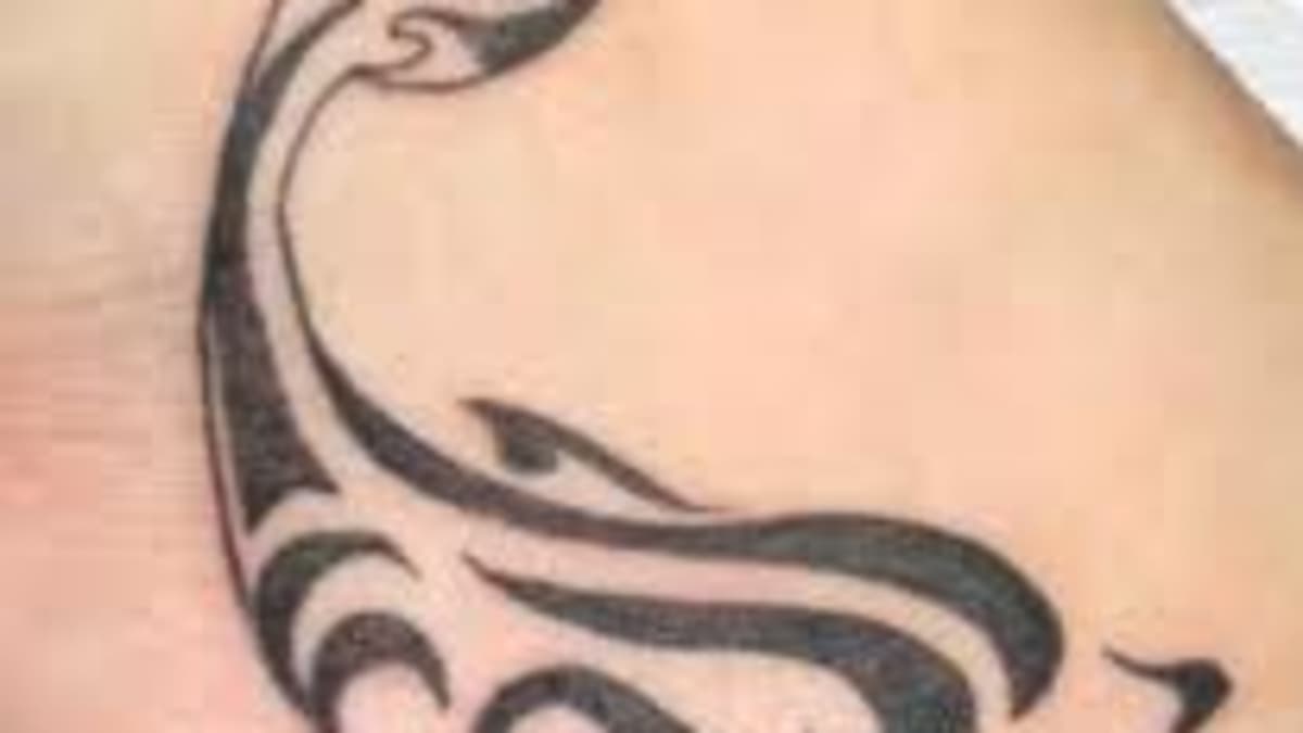 Dolphin Tattoo Designs And Dolphin Tattoo Meanings-Dolphin Tattoo Ideas And Tattoo Photos - HubPages