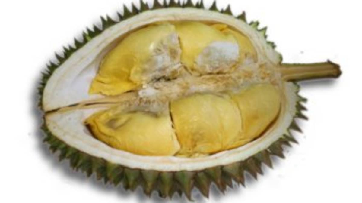 Durian Fruit: Smelly but Incredibly Nutritious