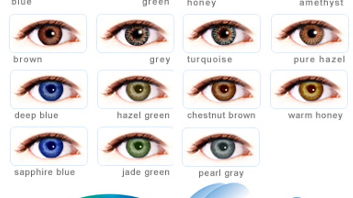 different shades of brown eyes chart