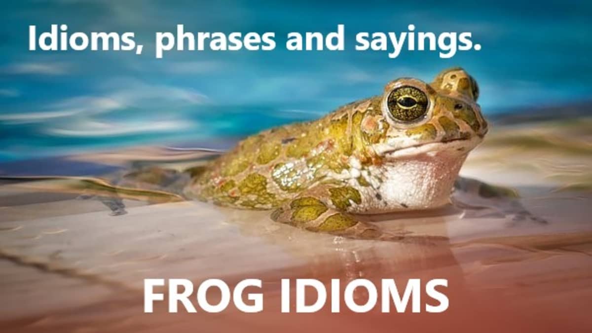 Frog Idioms - HubPages