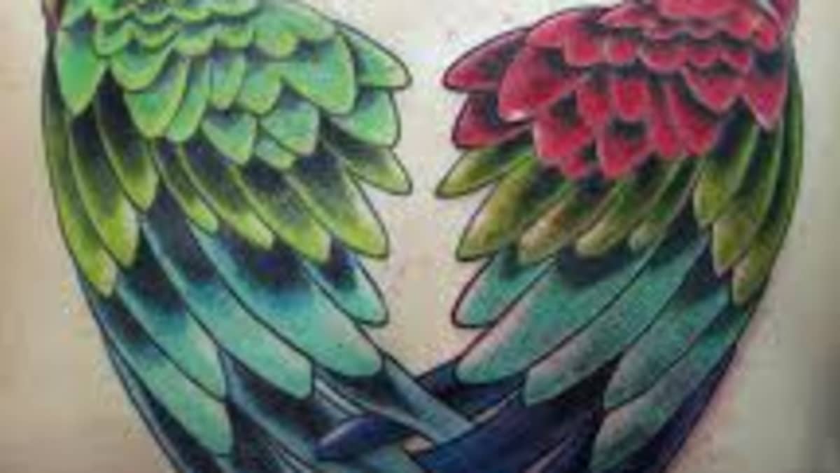 Black and Grey Parrot Tattoo Design – Tattoos Wizard Designs