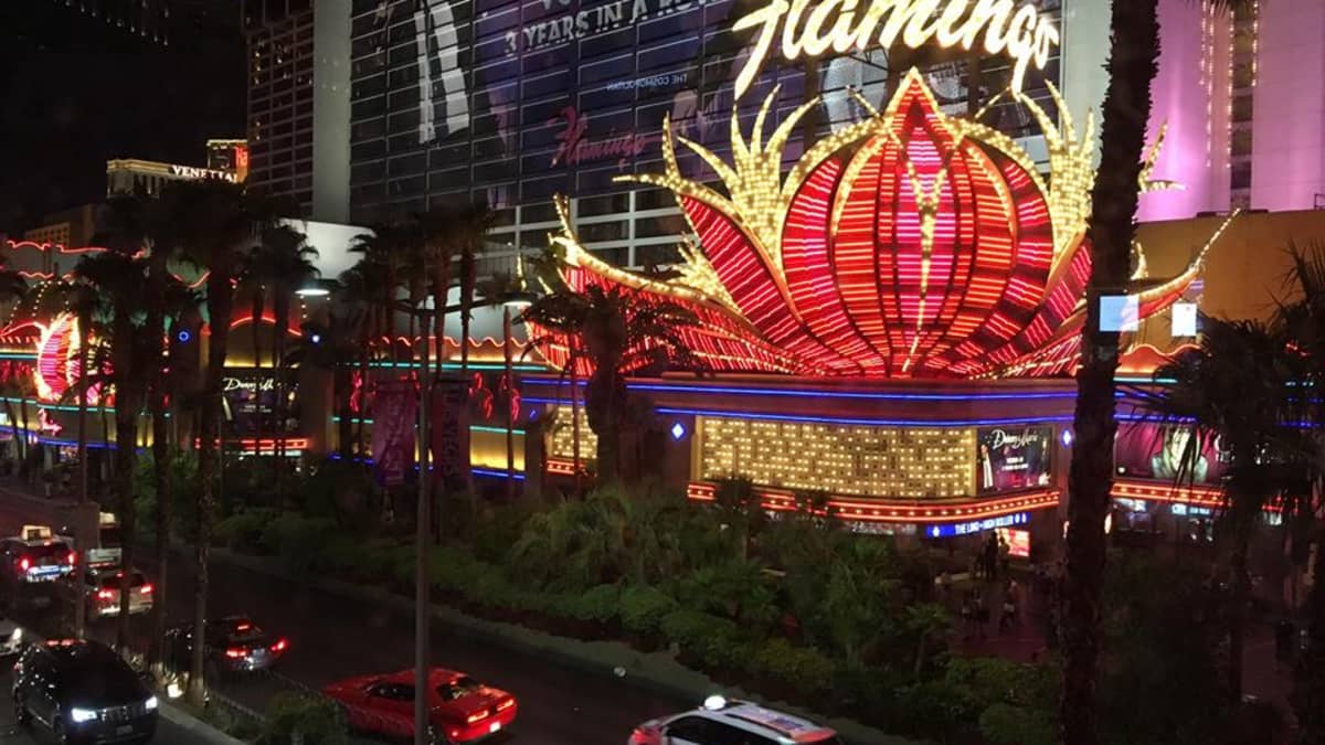 An Honest Review of The Flamingo in Las Vegas - HubPages