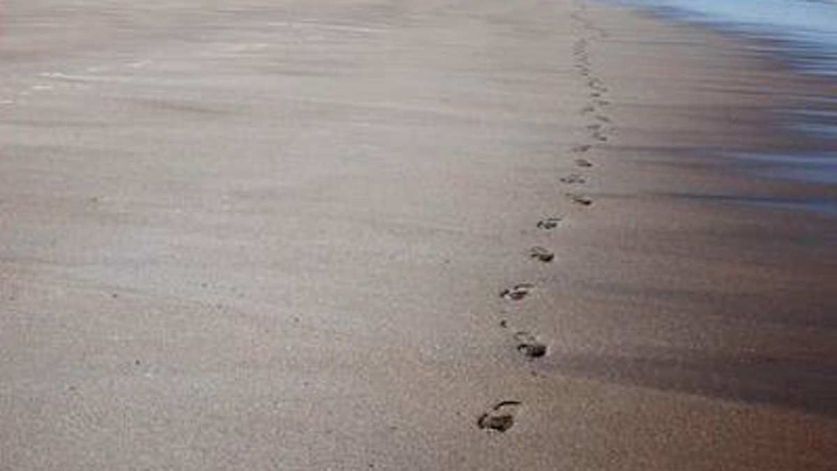 Ocean Sympathy Card, image size:1200x675