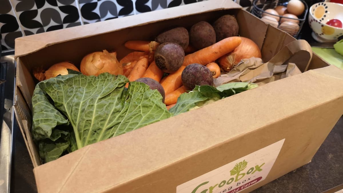 Five Reasons Why You Need to Order Fruit and Veg Boxes