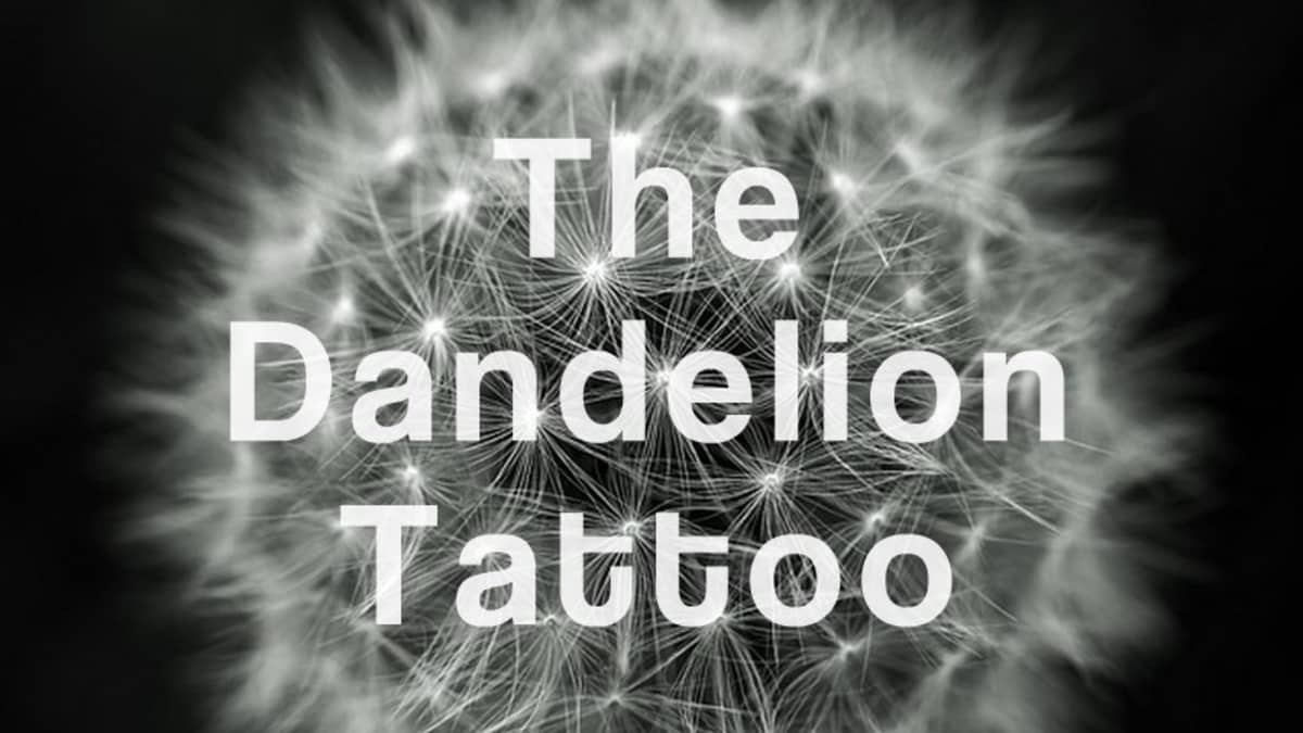 detailed drawing of dandelion clocks