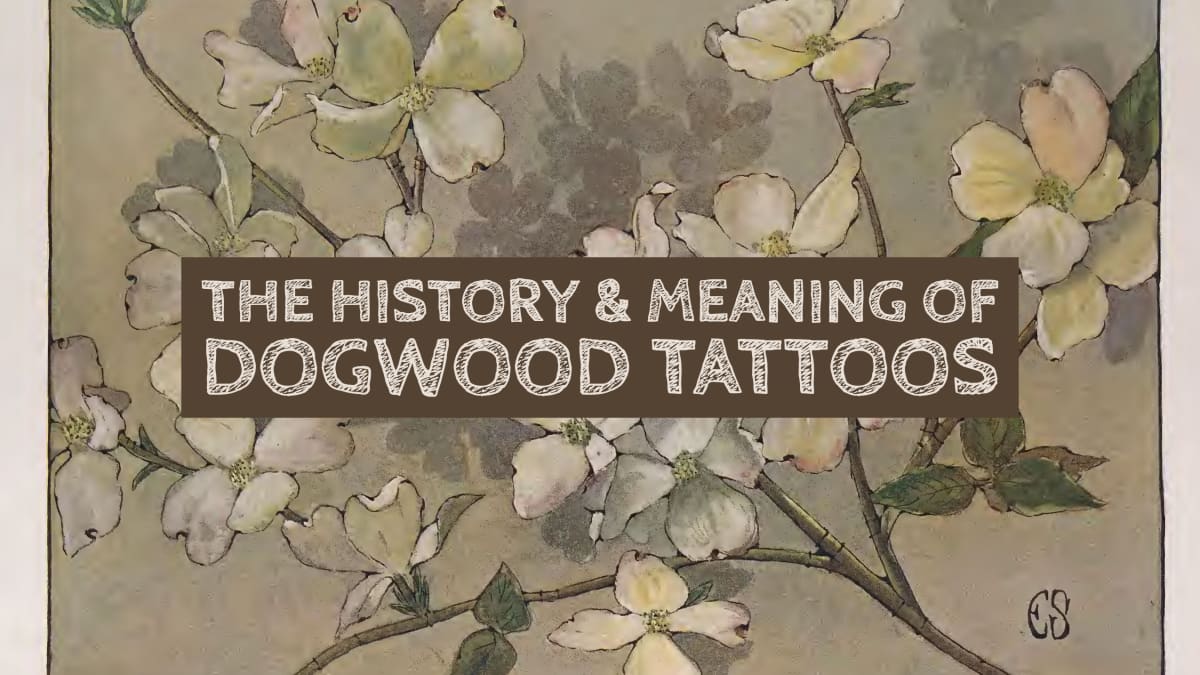 25 Dogwood Flower Tattoo Designes For Girls