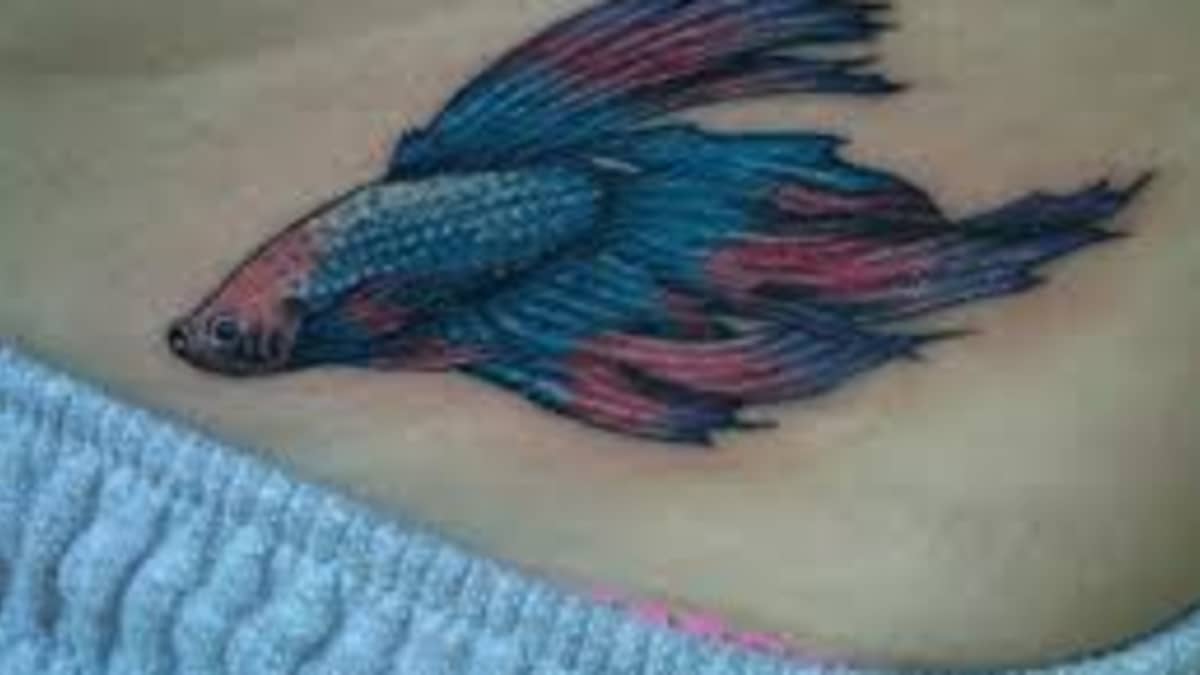 Betta Fish – Fade Away Tattoo