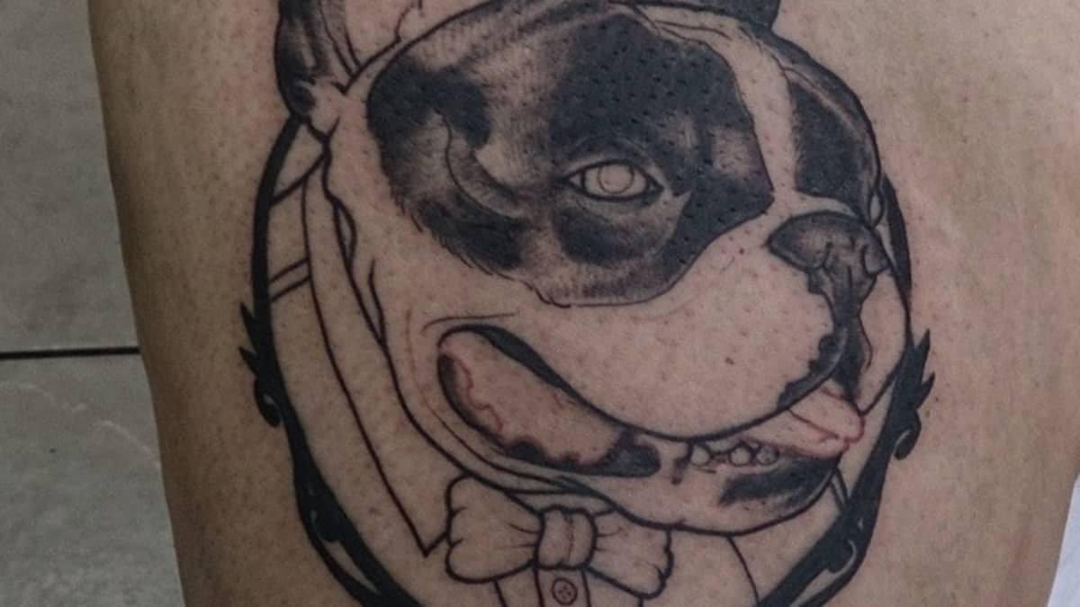 Bulldog Tattoos history meanings and ideas  Tattoo Life