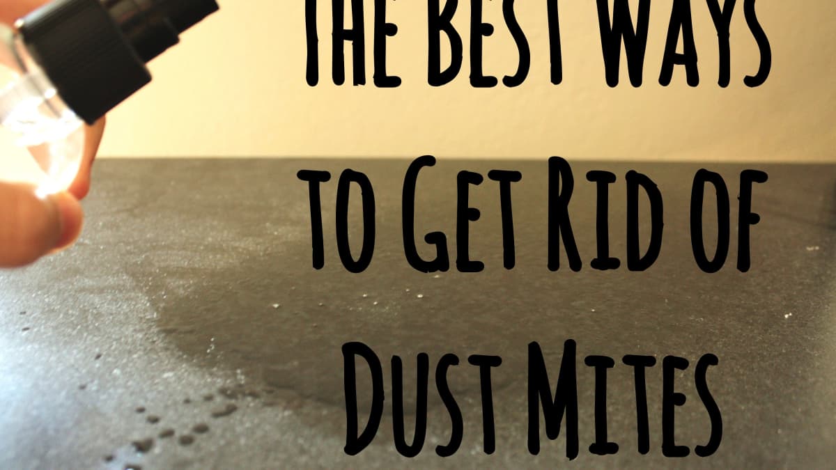 how to get rid of dust mites in dogs ears