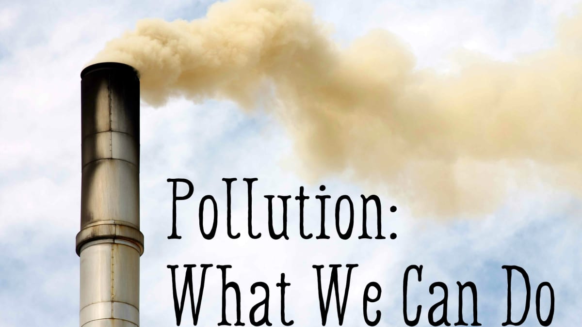 The Internet's Hidden Pollution and How You Can Help Reduce It