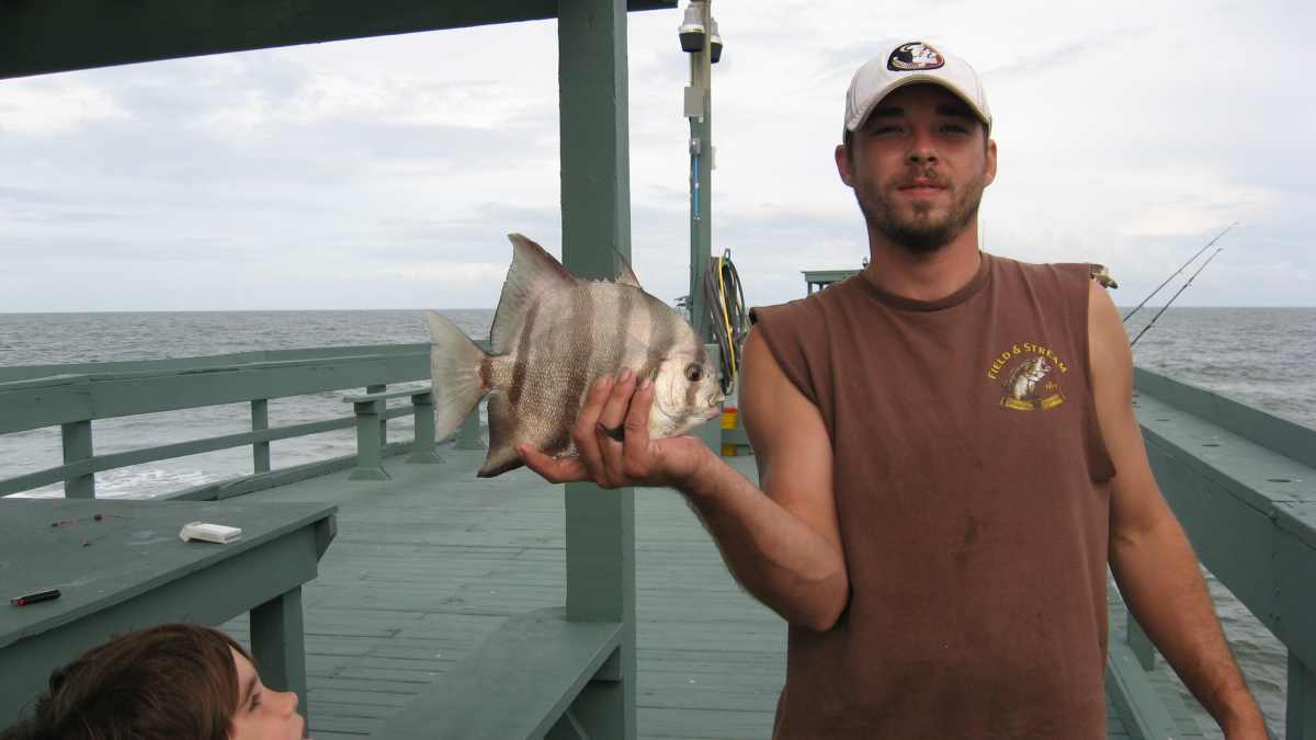 Best bait for spadefish Clearance