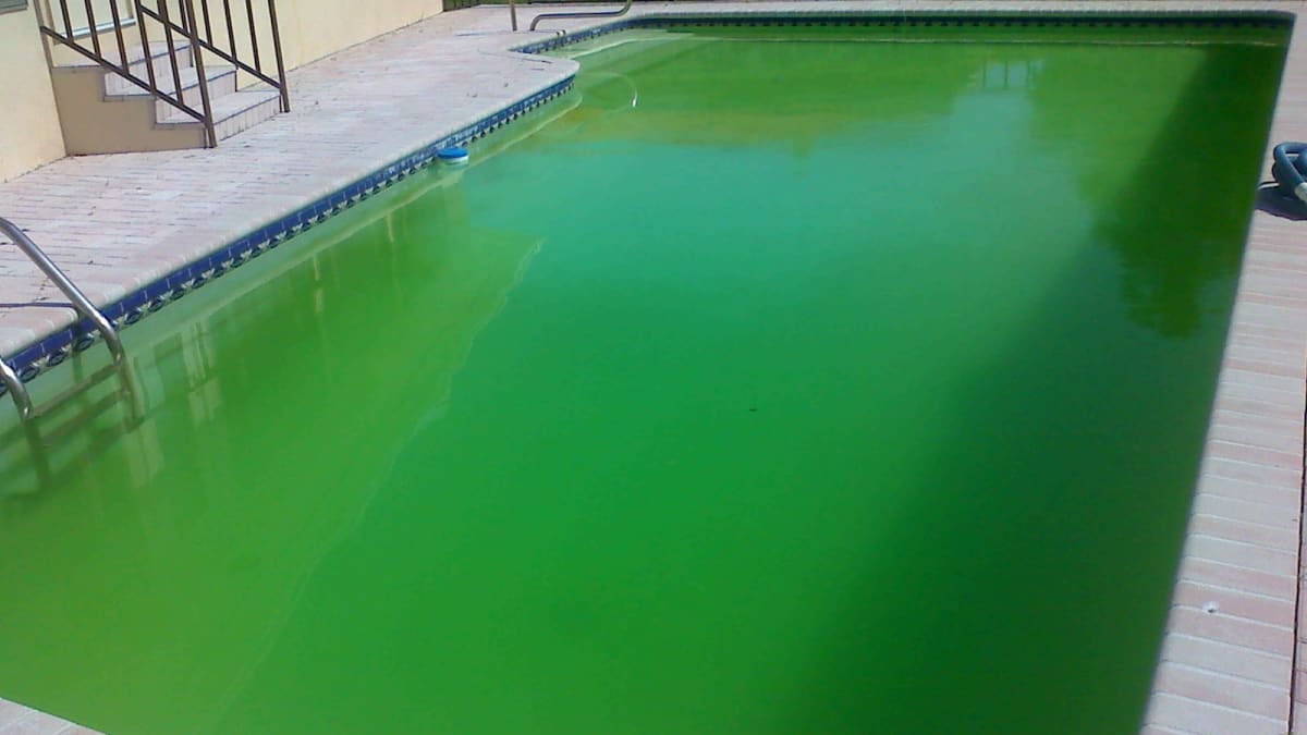 Why Is My Pool Still Green or Cloudy After Shocking? - Dengarden