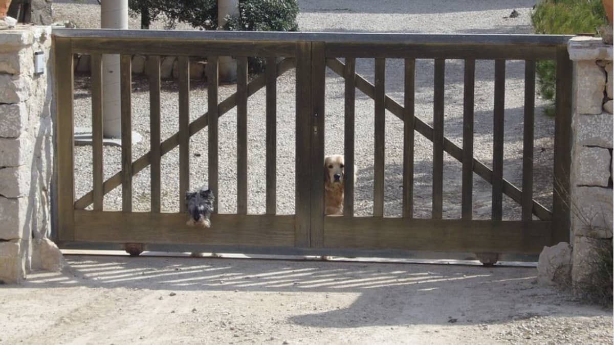 how to keep dog from chewing through fence