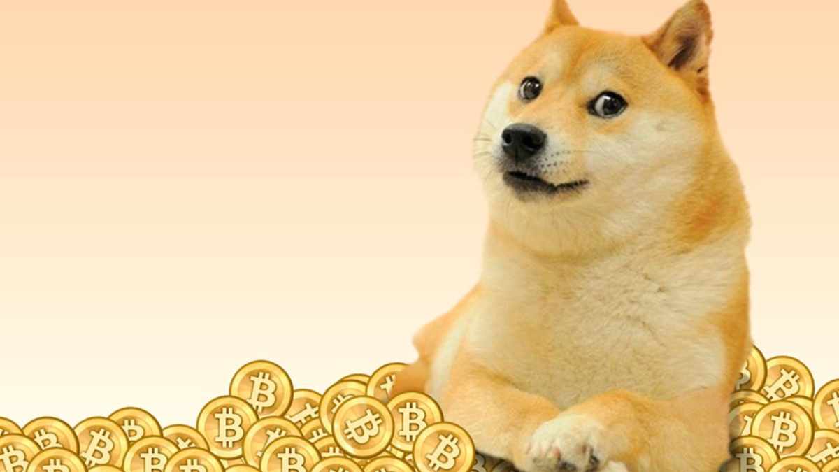 Will Doge Actually Go To The Moon? - HubPages