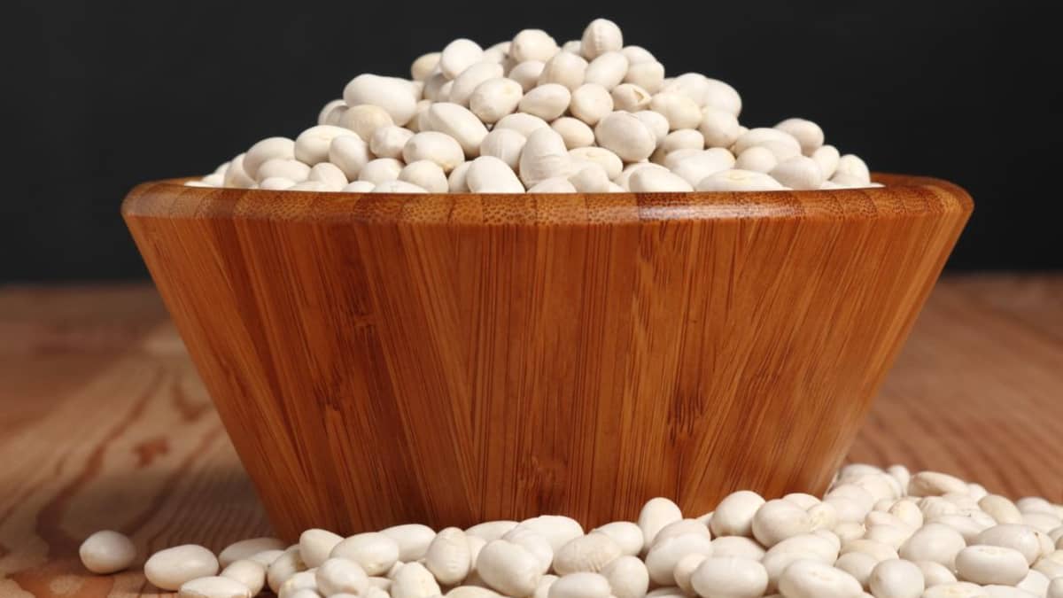 What Are the Best Substitutes for Navy Beans in Recipes? - HubPages