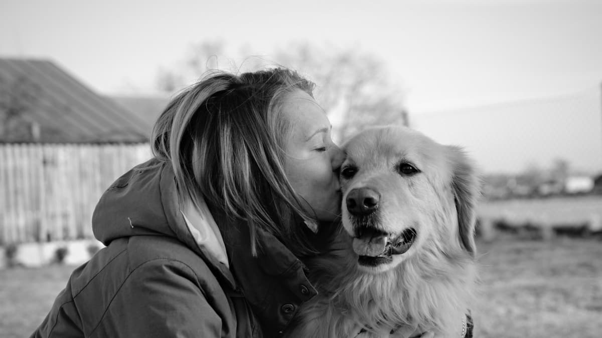 Family turns beloved dead golden retriever into rug