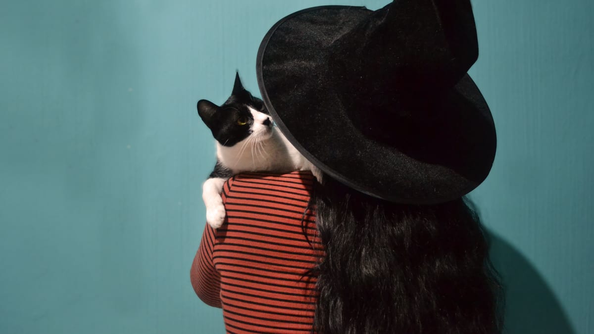 250+ Unique Witchy Names for Cats From History, Myth, and Literature -  PetHelpful