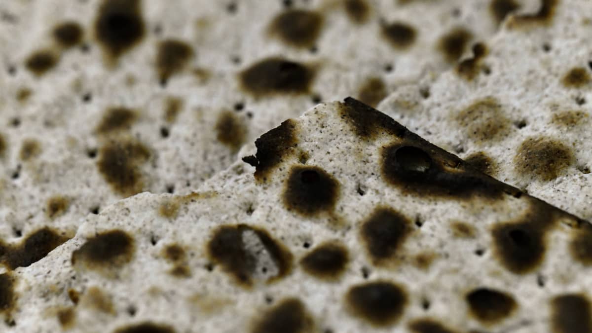 How to Get Rid of Black Mold With Common Household Cleaners